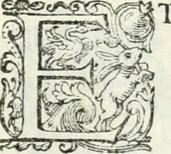 An illustration from Delle imprese, trattato, 1592, leaf 555
