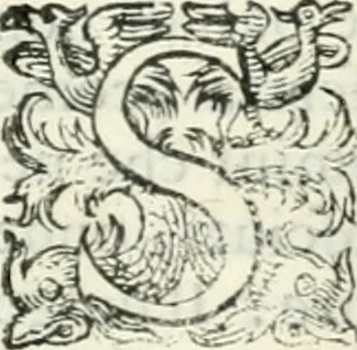 An illustration from Delle imprese, trattato, 1592, leaf 558