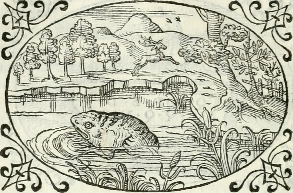 An illustration from Delle imprese, trattato, 1592, leaf 559