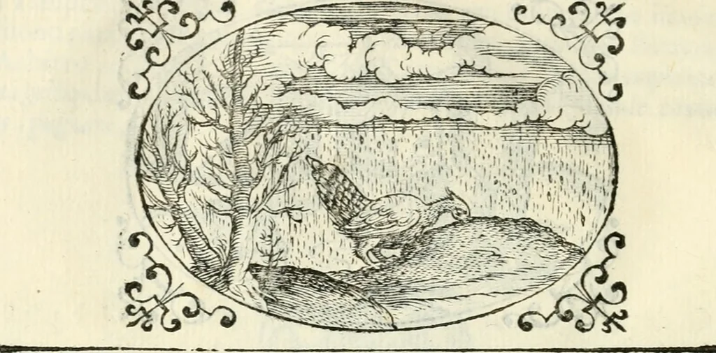 An illustration from Delle imprese, trattato, 1592, leaf 573