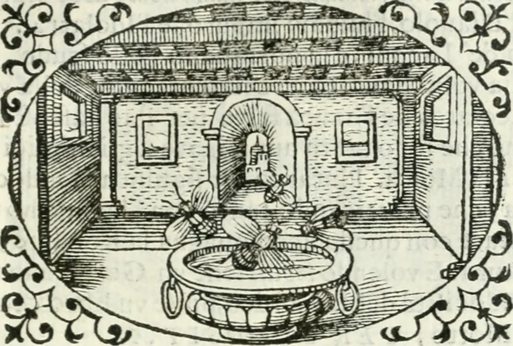 An illustration from Delle imprese, trattato, 1592, leaf 578
