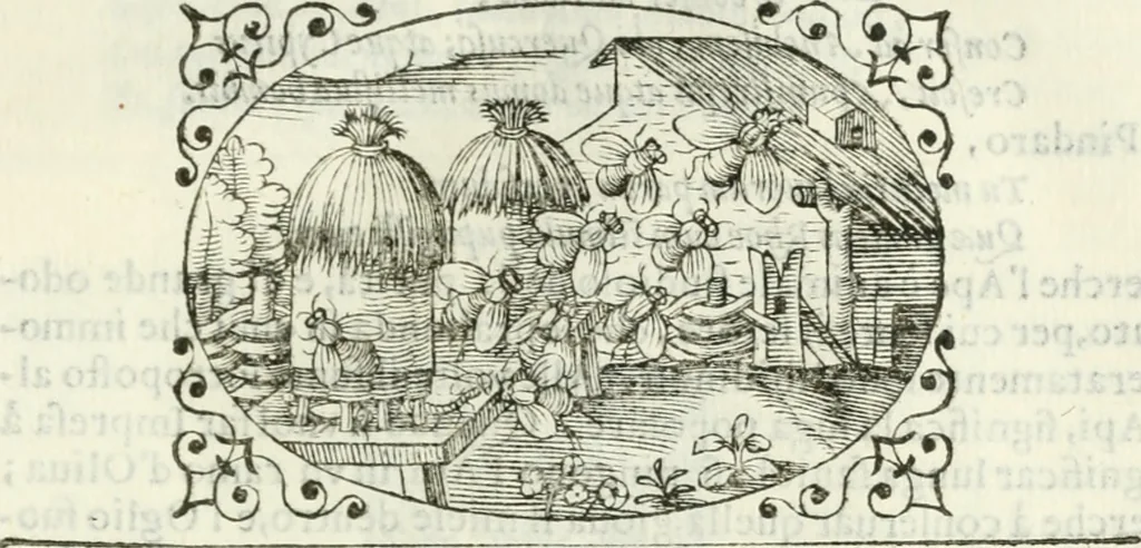An illustration from Delle imprese, trattato, 1592, leaf 584