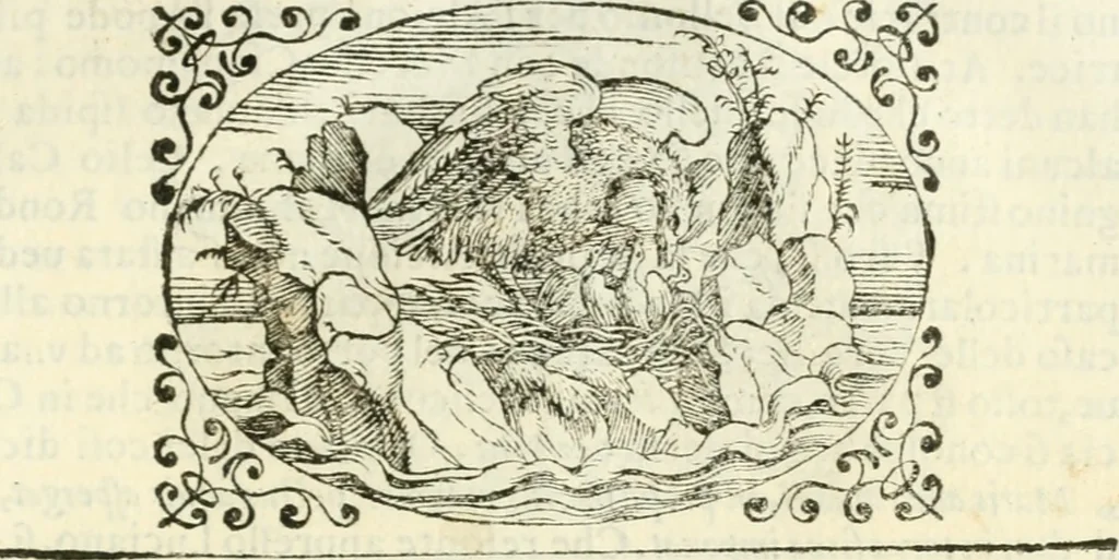 An illustration from Delle imprese, trattato, 1592, leaf 594