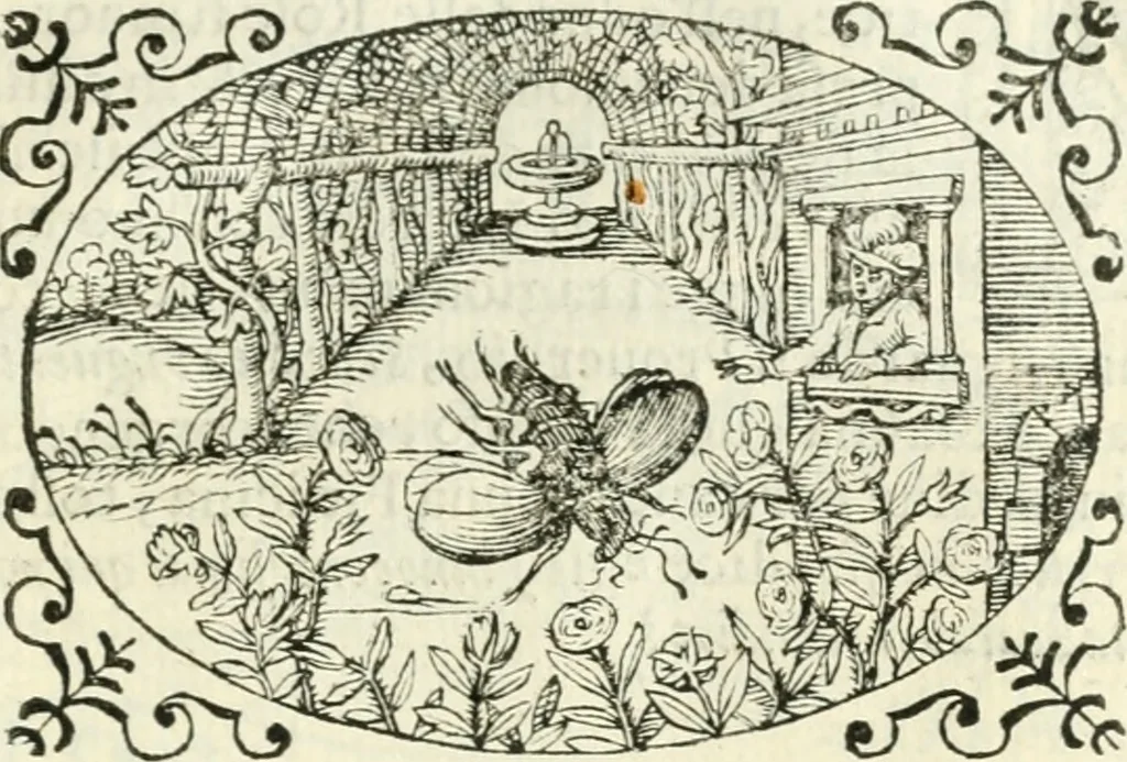 An illustration from Delle imprese, trattato, 1592, leaf 596