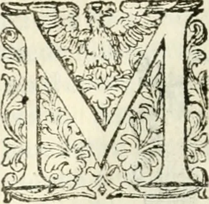 An illustration from Delle imprese, trattato, 1592, leaf 597