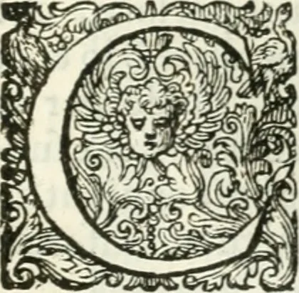 An illustration from Delle imprese, trattato, 1592, leaf 604