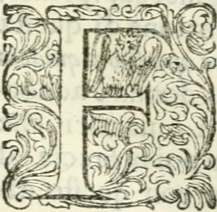 An illustration from Delle imprese, trattato, 1592, leaf 606