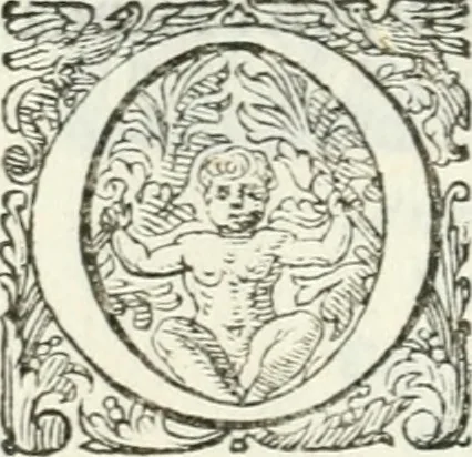 An illustration from Delle imprese, trattato, 1592, leaf 611