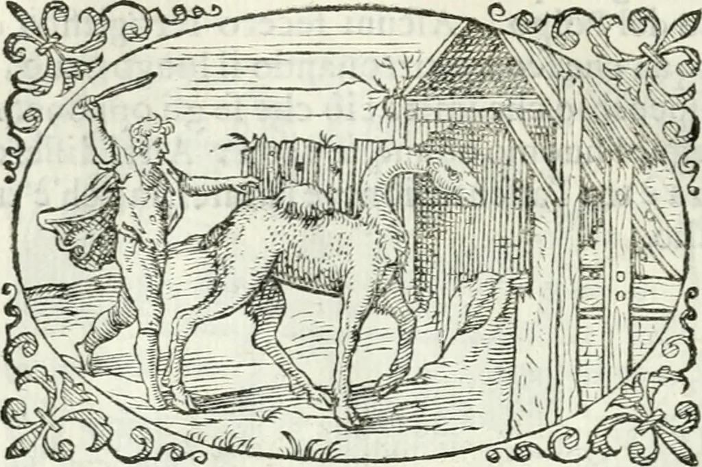 An illustration from Delle imprese, trattato, 1592, leaf 613