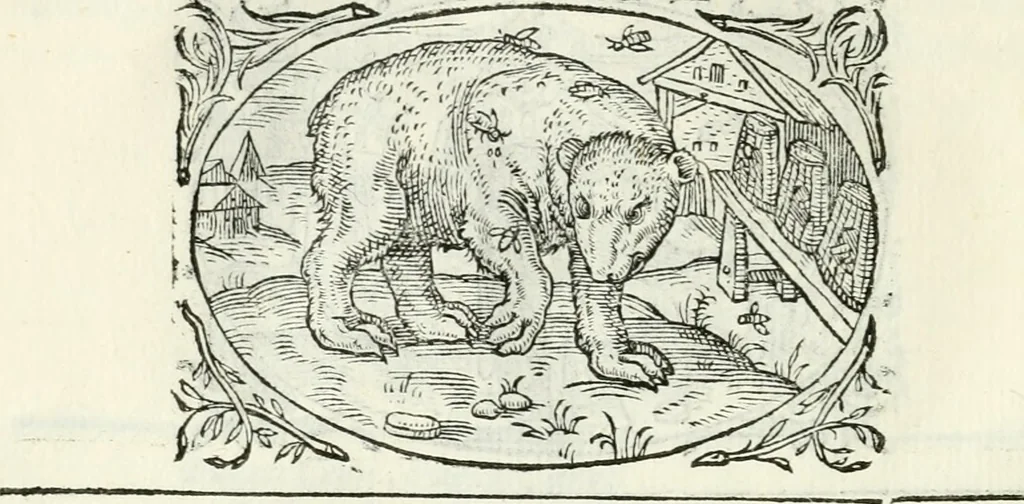 An illustration from Delle imprese, trattato, 1592, leaf 619