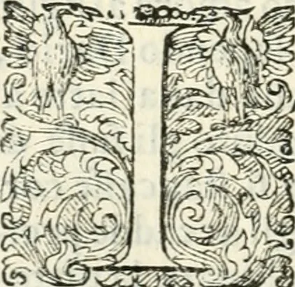 An illustration from Delle imprese, trattato, 1592, leaf 627