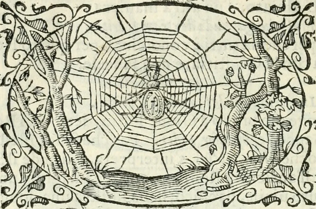 An illustration from Delle imprese, trattato, 1592, leaf 633