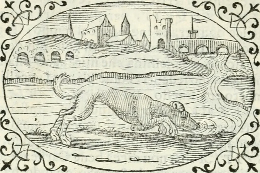 An illustration from Delle imprese, trattato, 1592, leaf 639