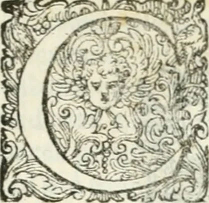 An illustration from Delle imprese, trattato, 1592, leaf 640