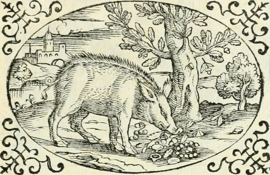 An illustration from Delle imprese, trattato, 1592, leaf 644