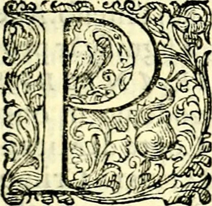 An illustration from Delle imprese trattato, 1592, leaf 124