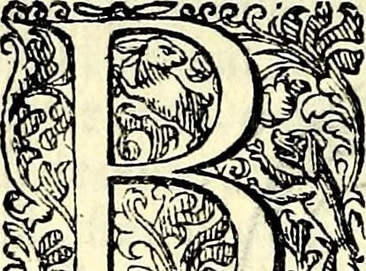 An illustration from Delle imprese trattato, 1592, leaf 133