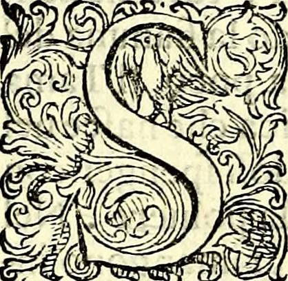 An illustration from Delle imprese trattato, 1592, leaf 155