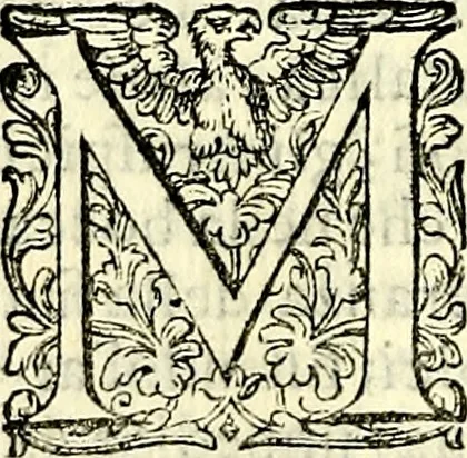 An illustration from Delle imprese trattato, 1592, leaf 191