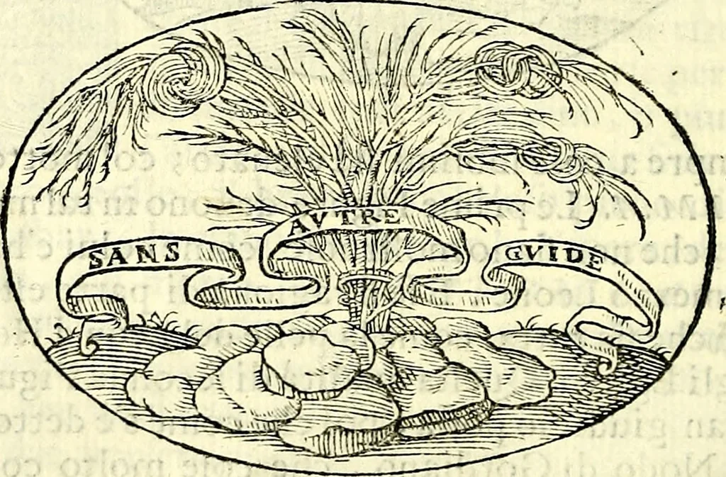 An illustration from Delle imprese trattato, 1592, leaf 199