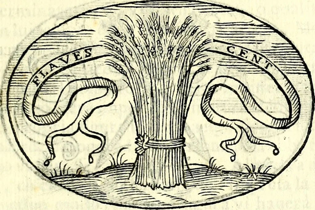 An illustration from Delle imprese trattato, 1592, leaf 202