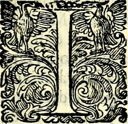 An illustration from Delle imprese trattato, 1592, leaf 216