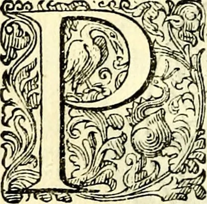 An illustration from Delle imprese trattato, 1592, leaf 255