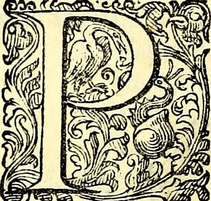 An illustration from Delle imprese trattato, 1592, leaf 257