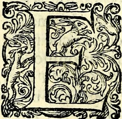 An illustration from Delle imprese trattato, 1592, leaf 265