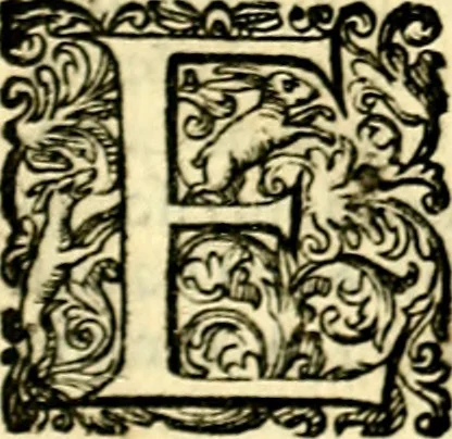 An illustration from Delle imprese trattato, 1592, leaf 290