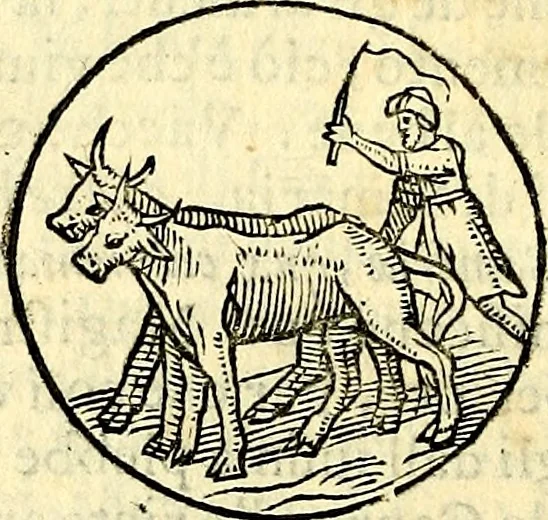 An illustration from Delle imprese trattato, 1592, leaf 291
