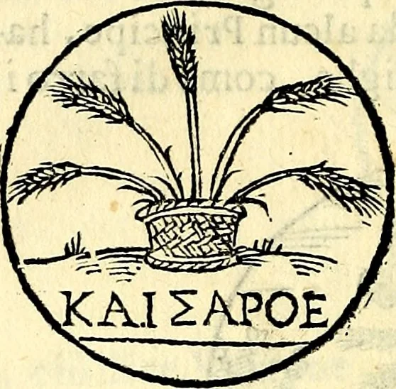 An illustration from Delle imprese trattato, 1592, leaf 293