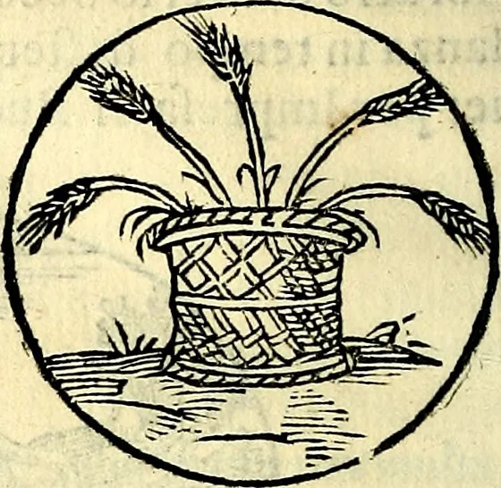 An illustration from Delle imprese trattato, 1592, leaf 293