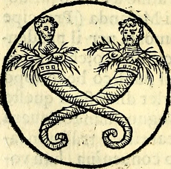 An illustration from Delle imprese trattato, 1592, leaf 293