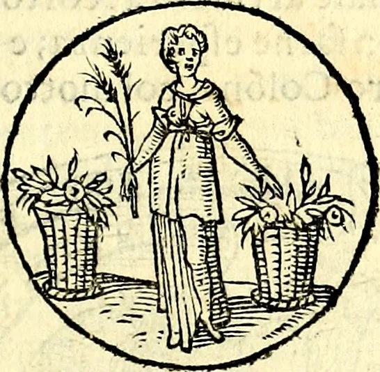 An illustration from Delle imprese trattato, 1592, leaf 294