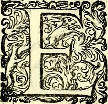 An illustration from Delle imprese trattato, 1592, leaf 312
