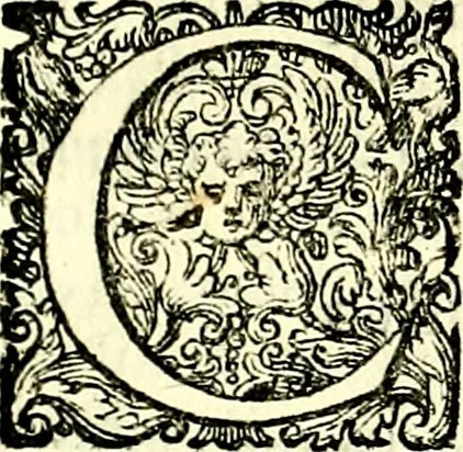 An illustration from Delle imprese trattato, 1592, leaf 316