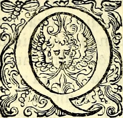 An illustration from Delle imprese trattato, 1592, leaf 329