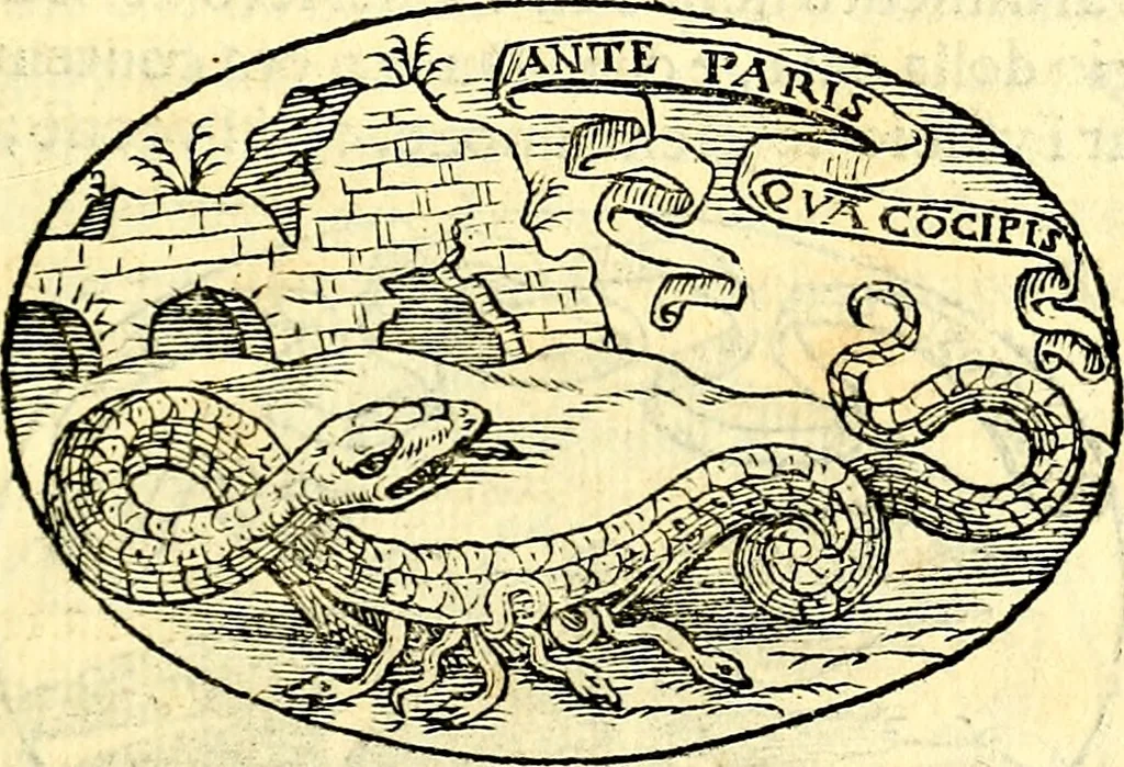 An illustration from Delle imprese trattato, 1592, leaf 338