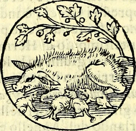 An illustration from Delle imprese trattato, 1592, leaf 347