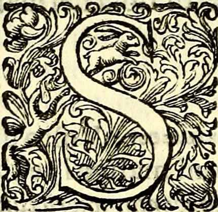 An illustration from Delle imprese trattato, 1592, leaf 357