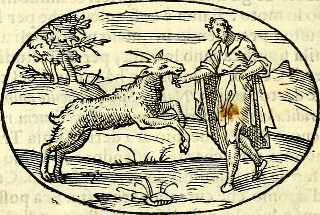An illustration from Delle imprese trattato, 1592, leaf 357