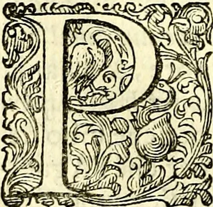 An illustration from Delle imprese trattato, 1592, leaf 381
