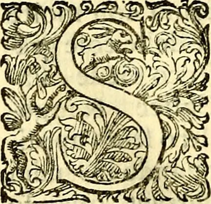 An illustration from Delle imprese trattato, 1592, leaf 399