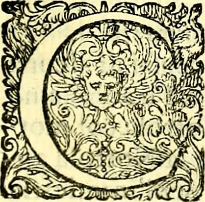 An illustration from Delle imprese trattato, 1592, leaf 420