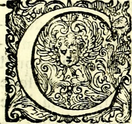 An illustration from Delle imprese trattato, 1592, leaf 426
