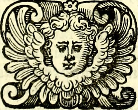 An illustration from Delle imprese trattato, 1592, leaf 428