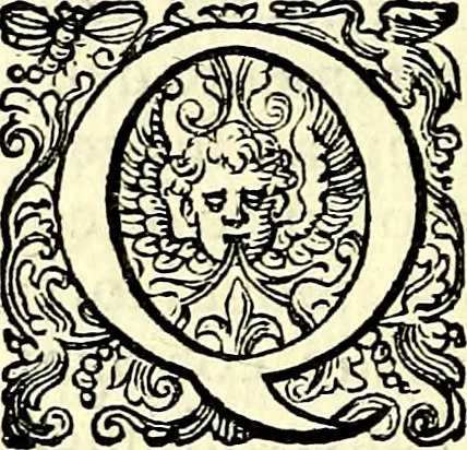 An illustration from Delle imprese trattato, 1592, leaf 429