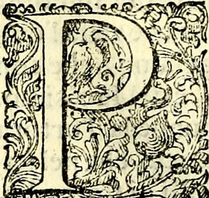 An illustration from Delle imprese trattato, 1592, leaf 433