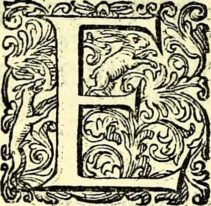 An illustration from Delle imprese trattato, 1592, leaf 439